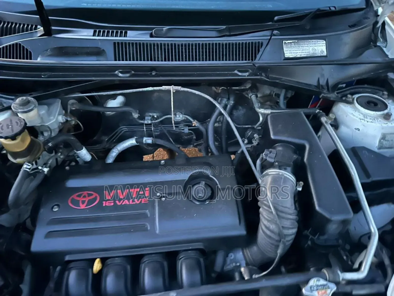 Toyota RAV4 2005 White