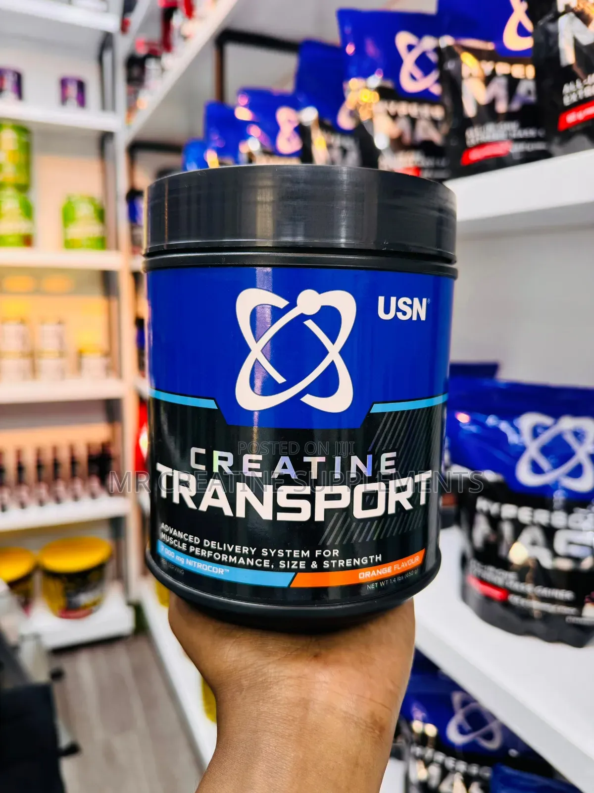 Creatine Transport
