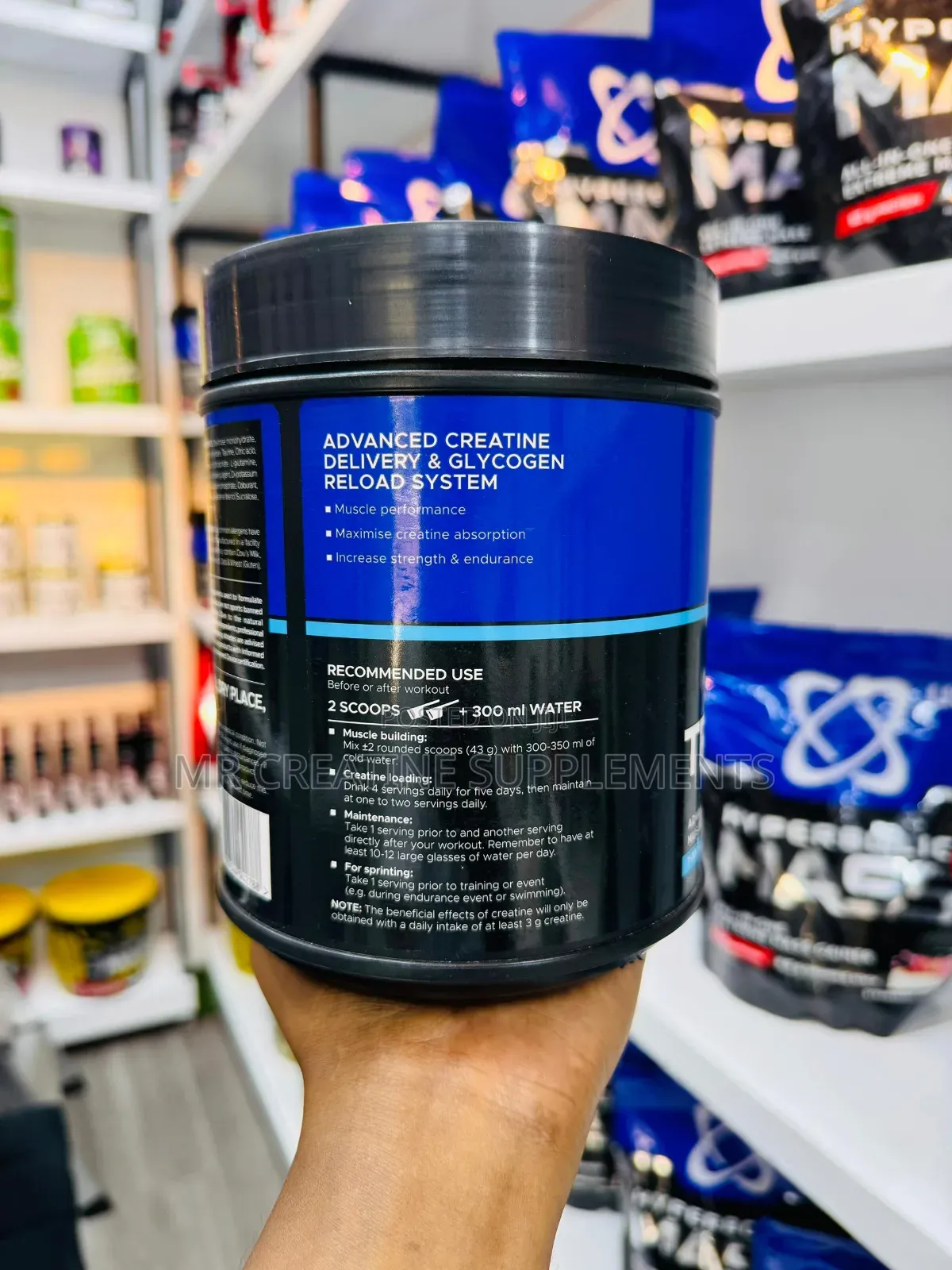 Creatine Transport