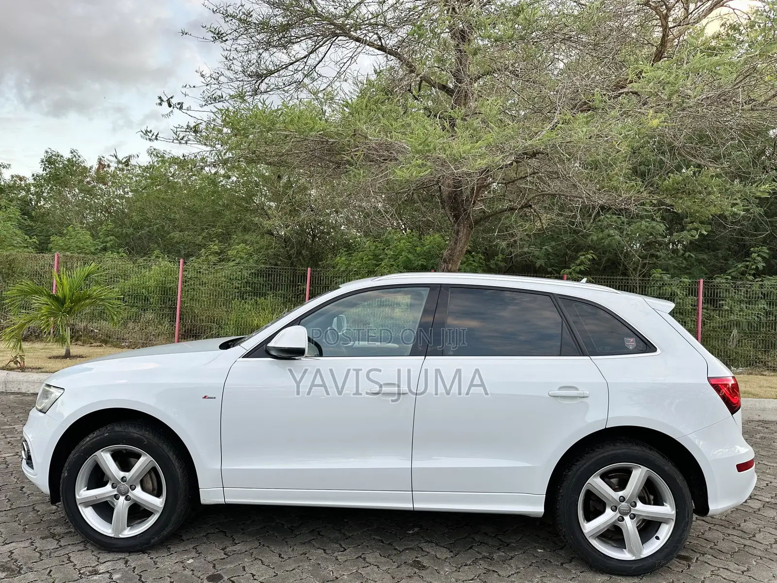 Audi Q5 2014 White
