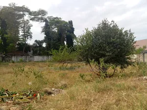 Photo - Plot for Sale CQMT 1000 Umiliki Tait Deed