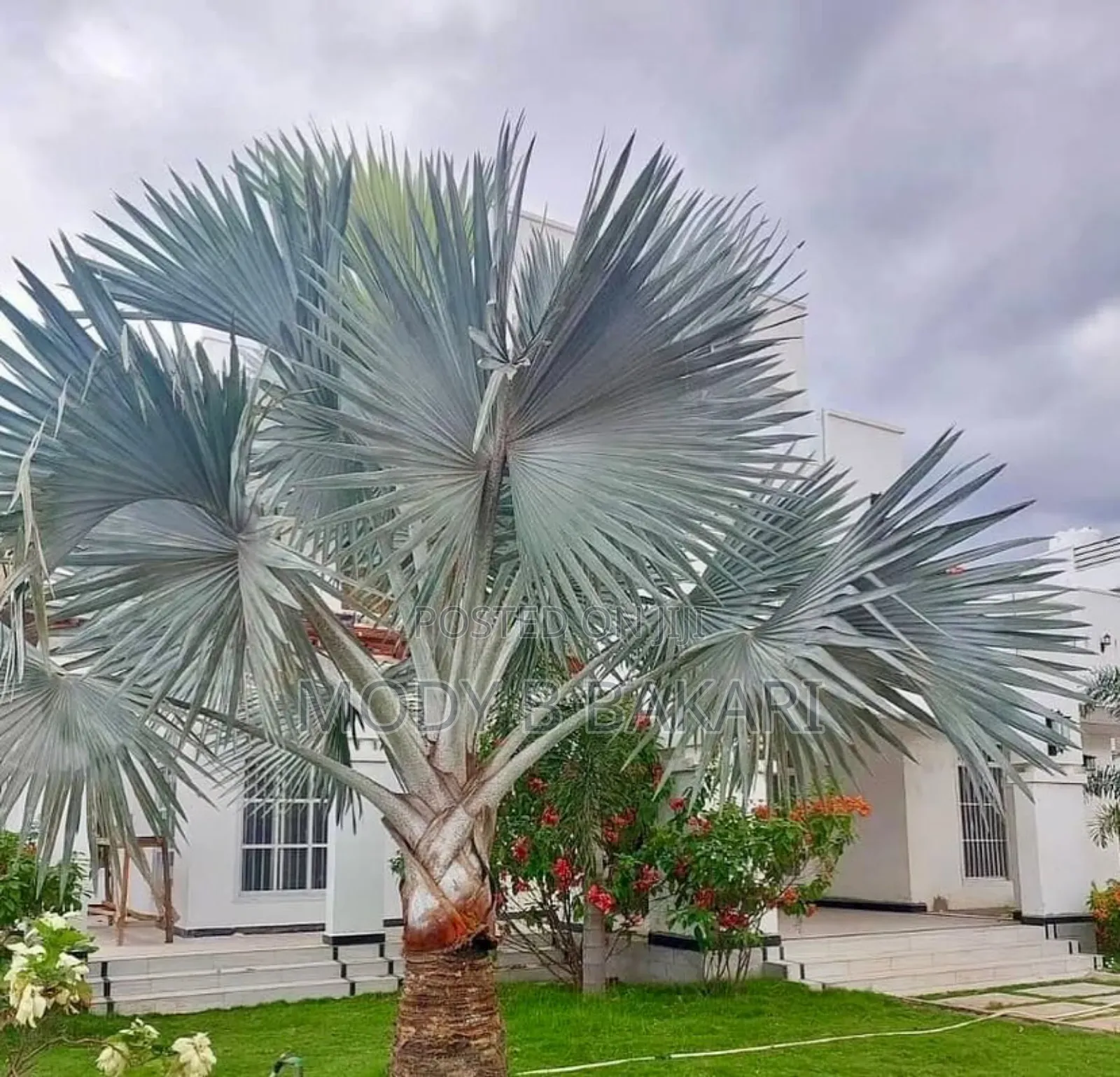 Furnished 4bdrm Villa in Mikocheni for rent