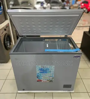 Roch Freezer Lita 251