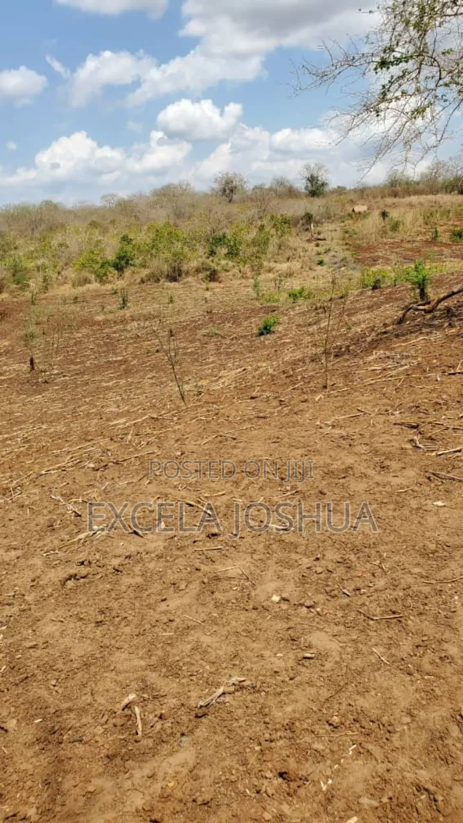 A 150 Acres Farm With Water Resource for Sell in Bagamoyo