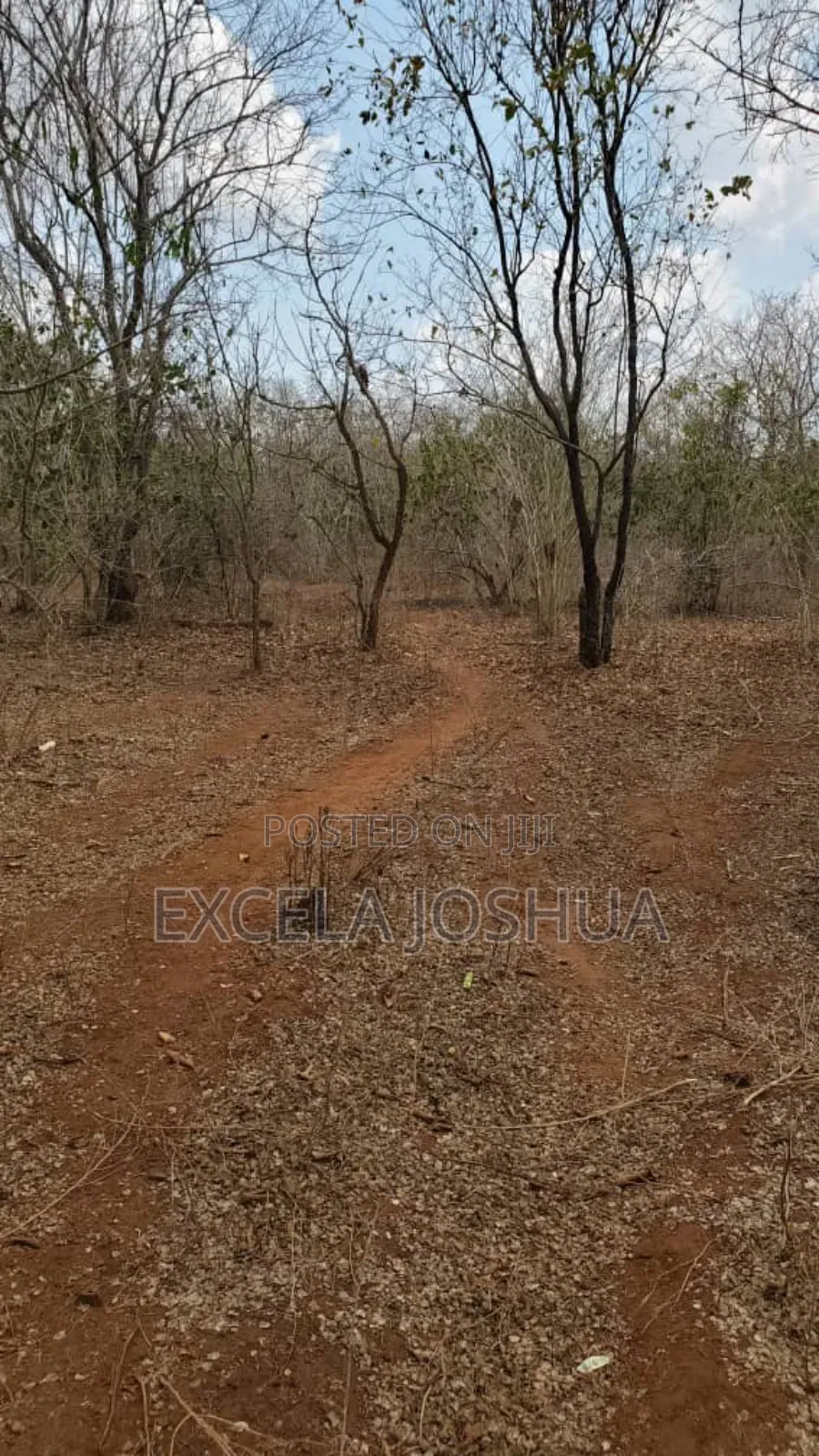 A 150 Acres Farm With Water Resource for Sell in Bagamoyo