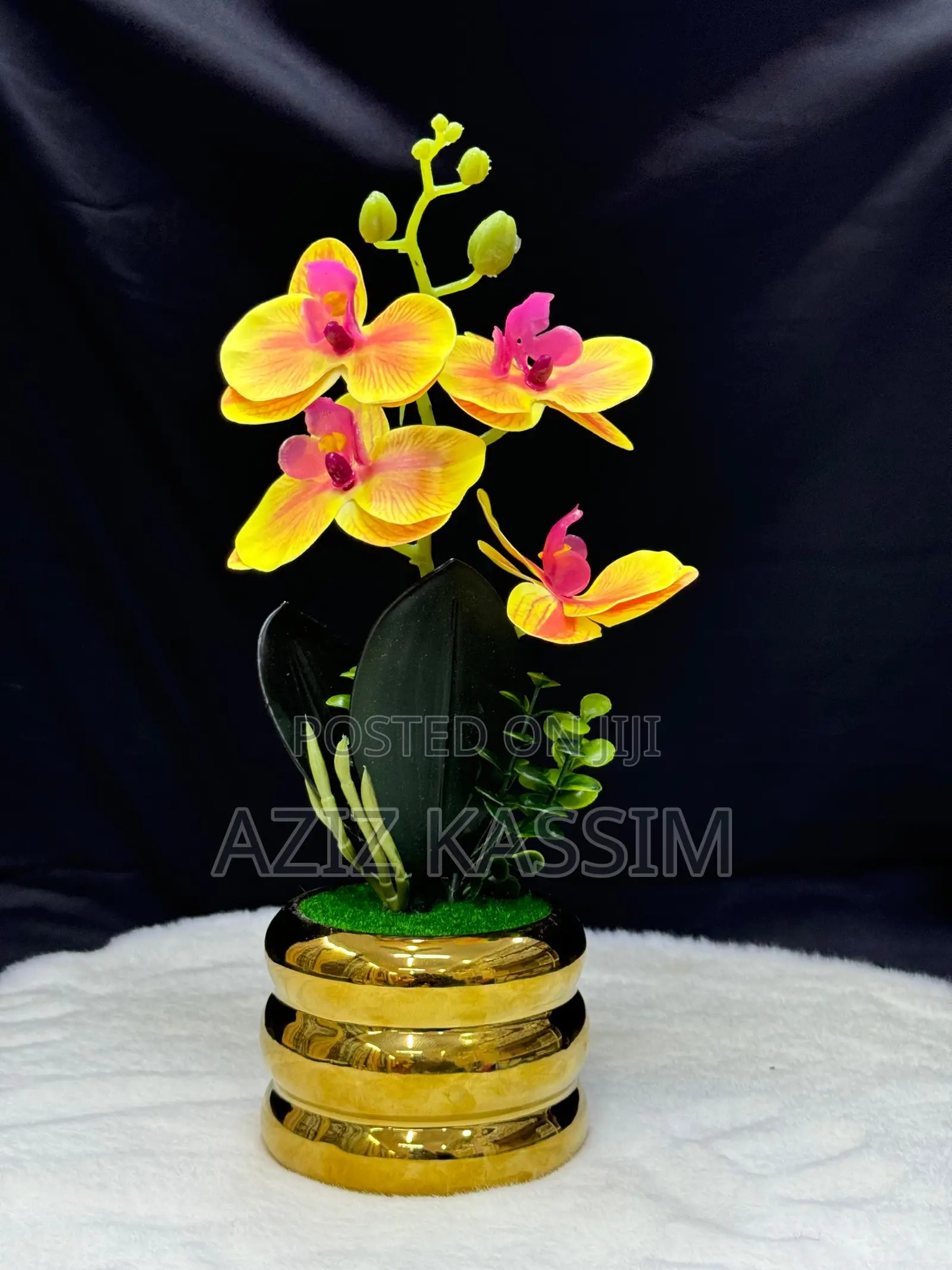 Ua Na Vase Yake