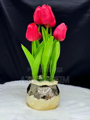 Ua Na Vase Yake
