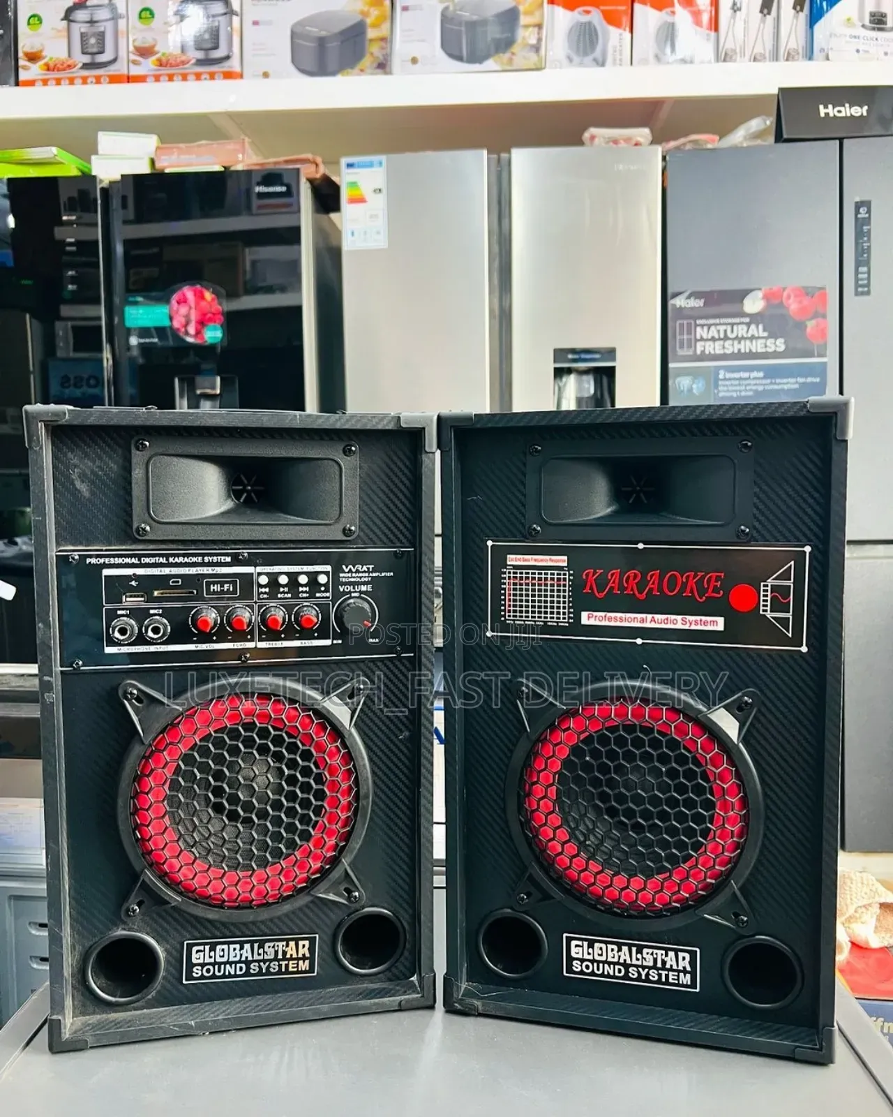 Global Star Sound System Speaker With Mic