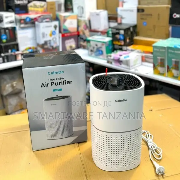 Air Purifier Bedroom Office Use True Hepa Filter -Silent