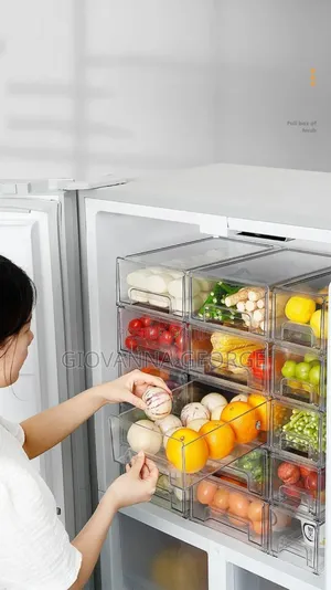 Fridge Organizer
