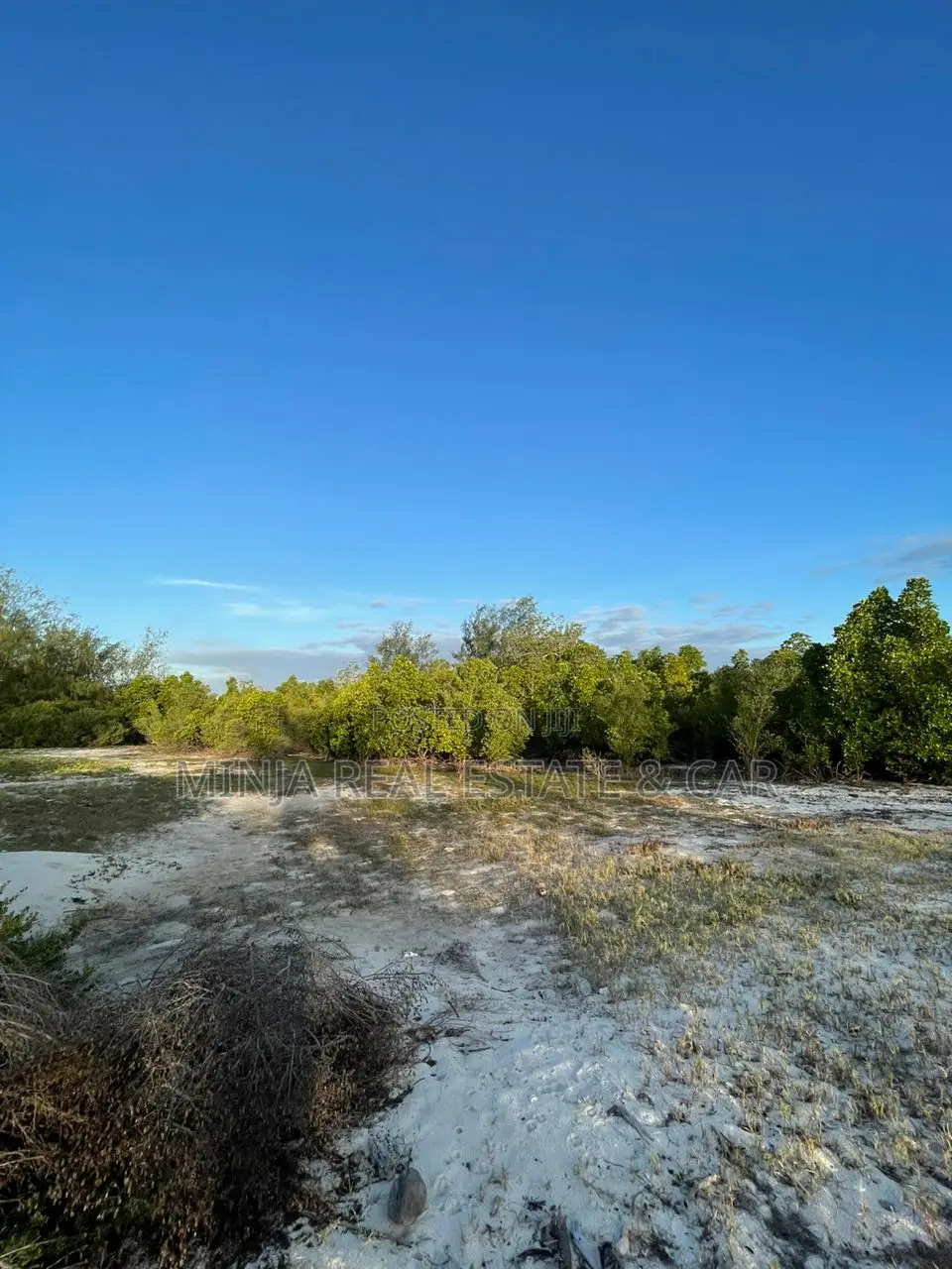 White Sand Beach Plot for Sale in Mafia Island Tanzania.
