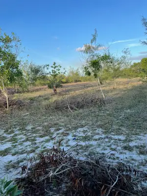 White Sand Beach Plot for Sale in Mafia Island Tanzania.