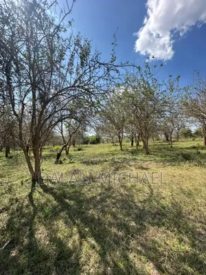 Land for Sale Madale Mivumoni