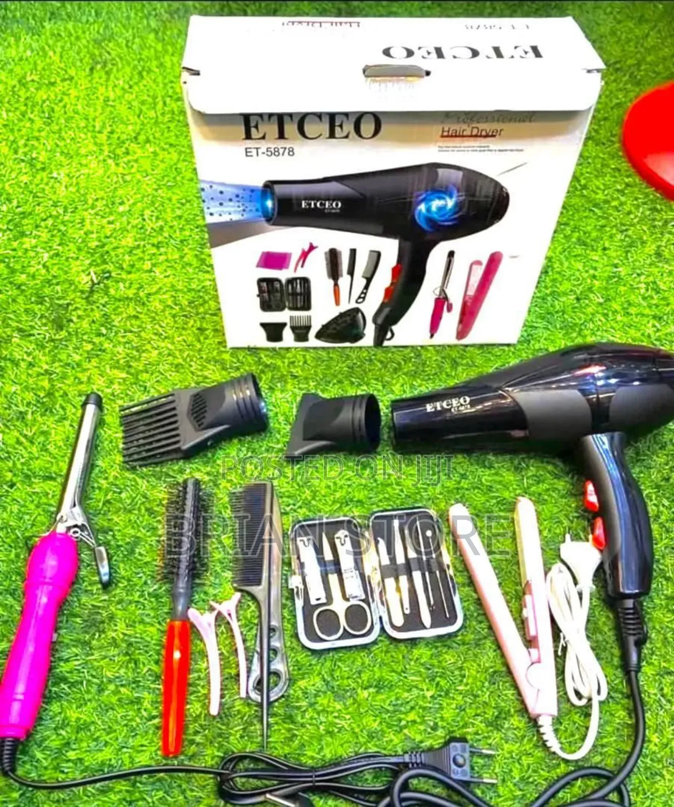 Professional Hair Dryer