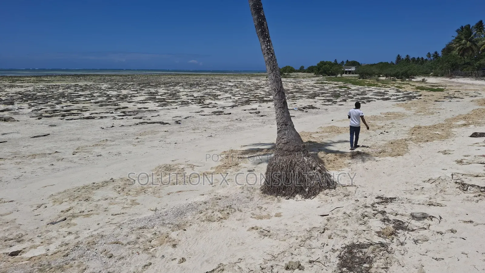 Beach Plot for Sale at Pongwe - Zanzibar