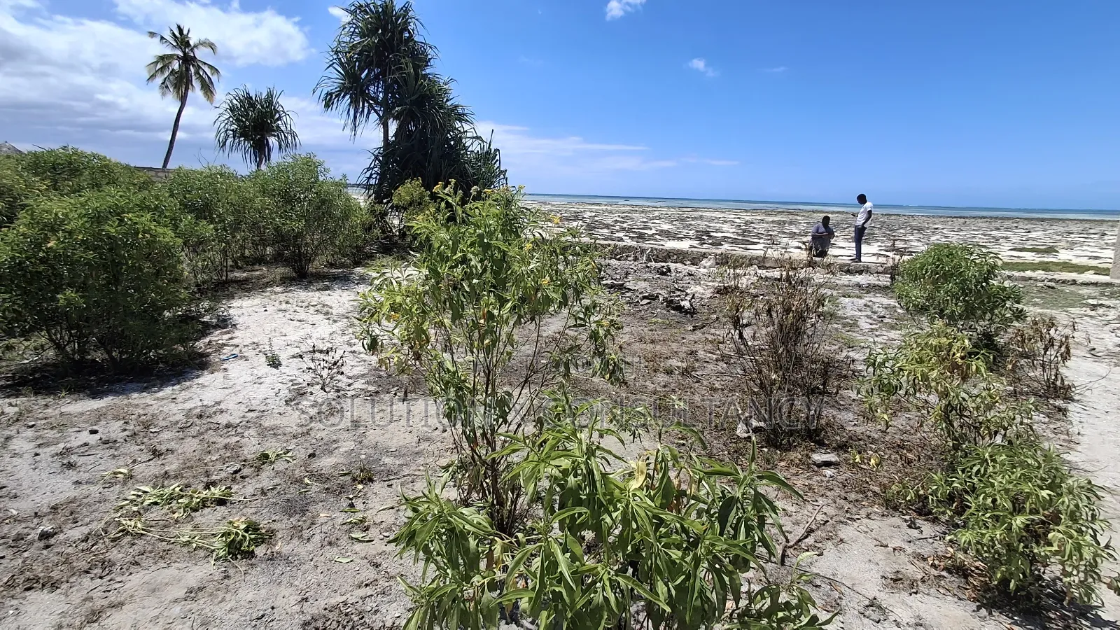 Beach Plot for Sale at Pongwe Zanzibar