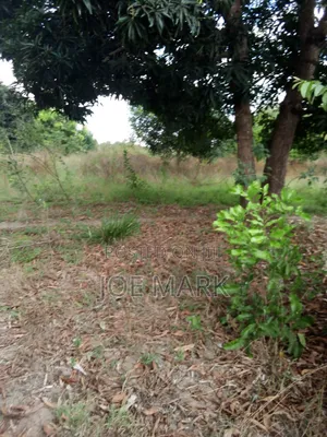 Plot for Sale at Mlandizi Kibaha