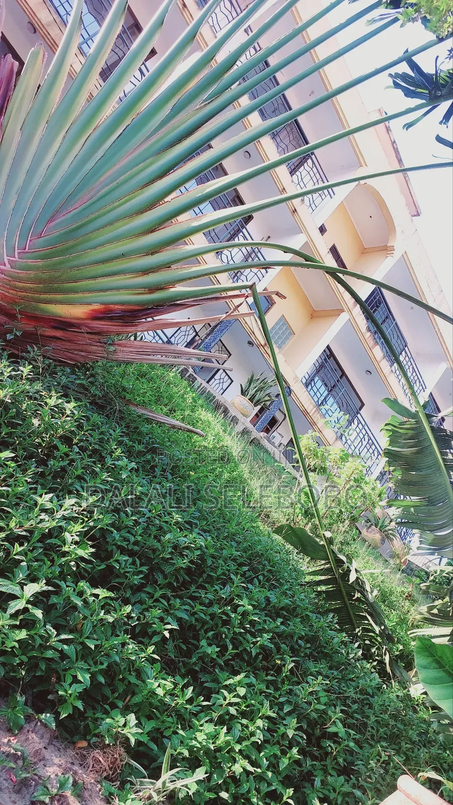 Mini Flat in Makongo, Kinondoni for rent