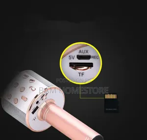 Wireless Microphone