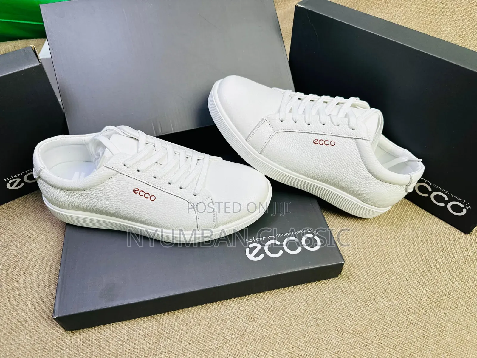 Ecco Shoes