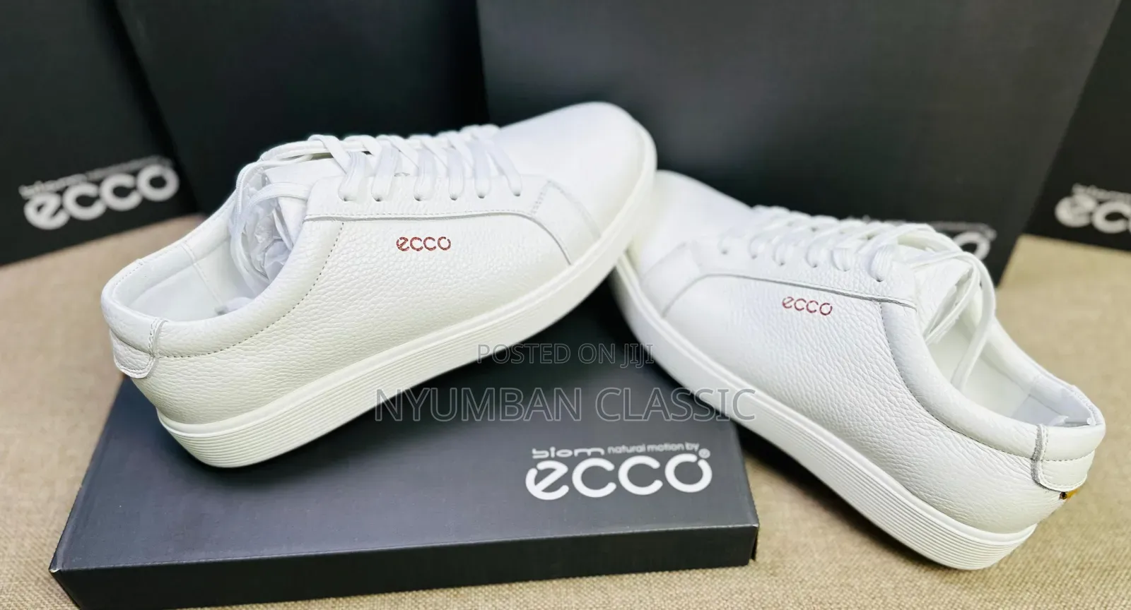 Ecco Shoes