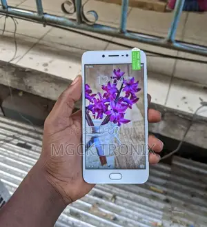 Vivo Y67 32 GB Rose Gold