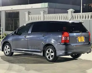 Toyota Wish 2003 Gray