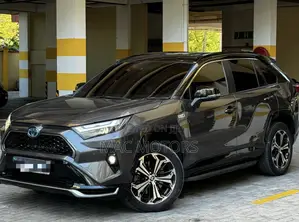 Toyota RAV4 2022 Gray