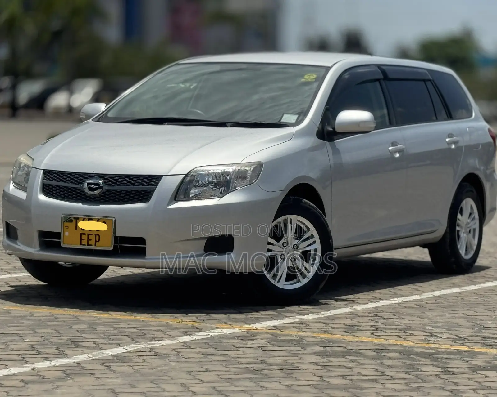 Toyota Corolla Fielder 2007 Gray