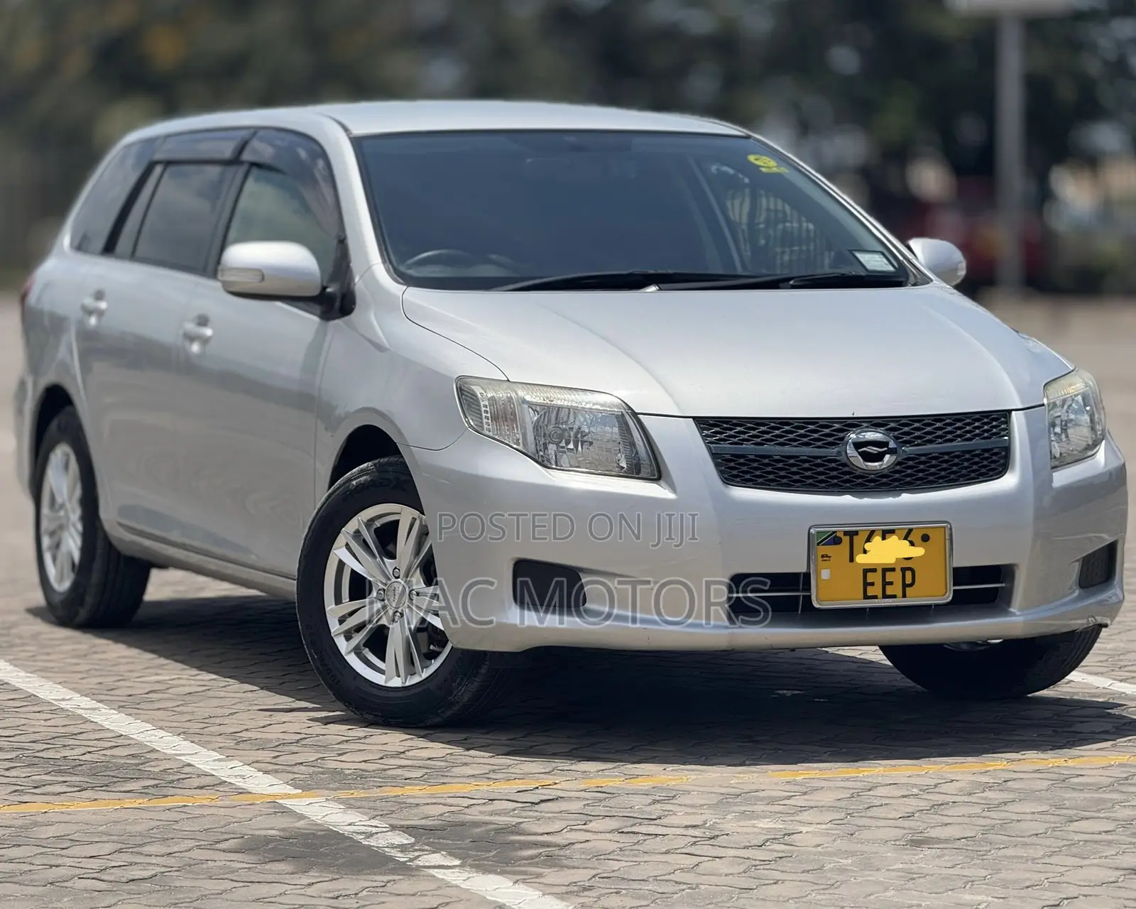 Toyota Corolla Fielder 2007 Gray