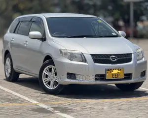 Toyota Corolla Fielder 2007 Gray