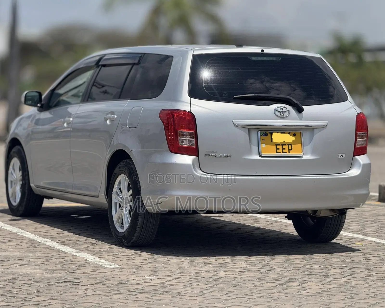 Toyota Corolla Fielder 2007 Gray