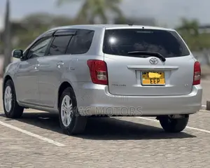 Toyota Corolla Fielder 2007 Gray