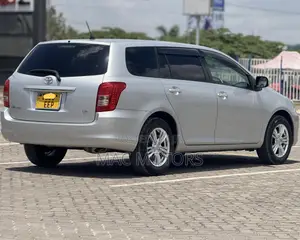 Toyota Corolla Fielder 2007 Gray