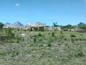 Kigamboni Kisota