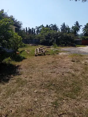 2bdrm House in Mikocheni With Big for rent