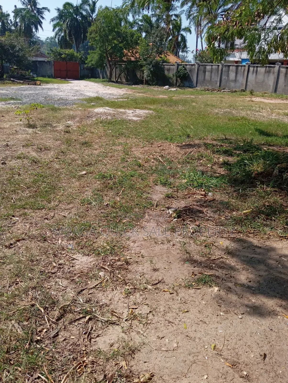 2bdrm House in Mikocheni With Big for rent