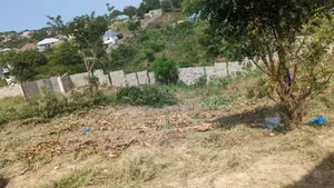 Kiwanja Kinauzwa