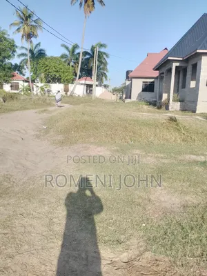 Kiwanja Sqmita 225 Kinauzwa Milioni 2.7 Majohe Viwege.