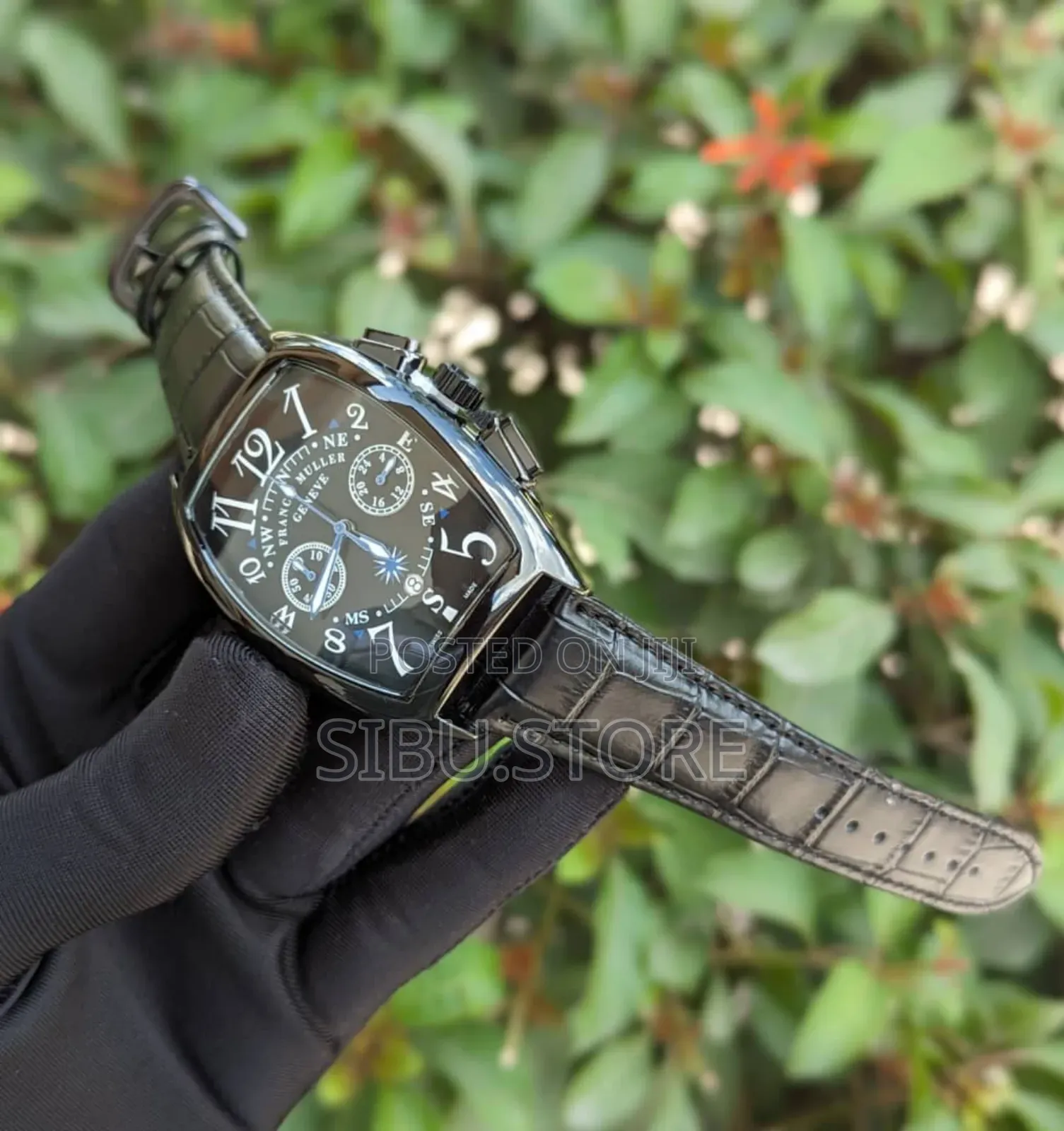 Frankmuller Geneve Watch