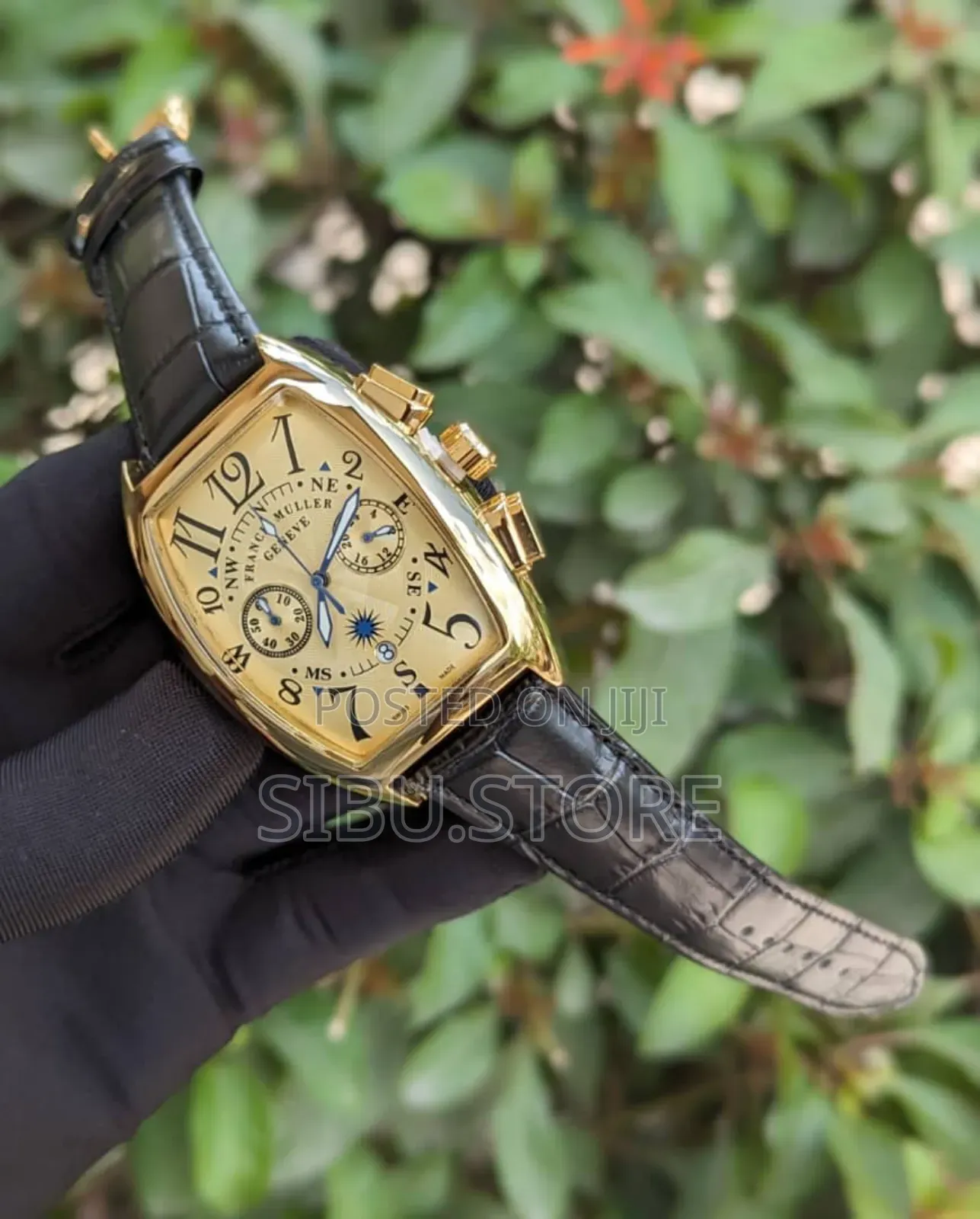 Frank Geneve Watch