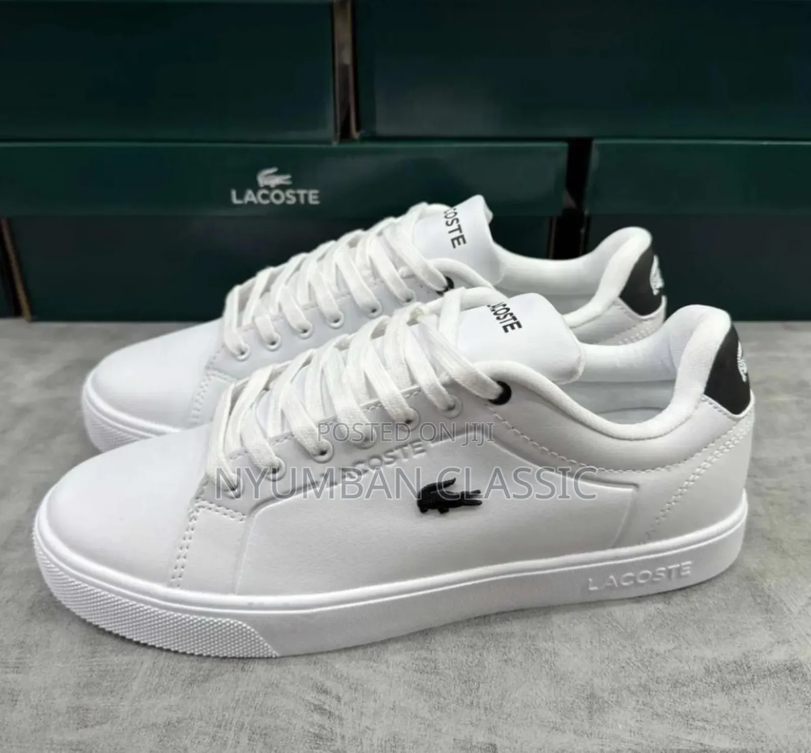 Bran New Lacoste Shoes