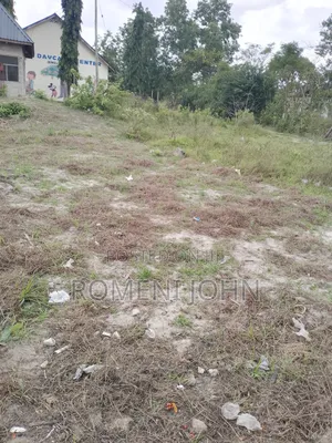 Kiwanja Sqmita 120 Kinauzwa Milioni 2.5 Majohe Viwege.