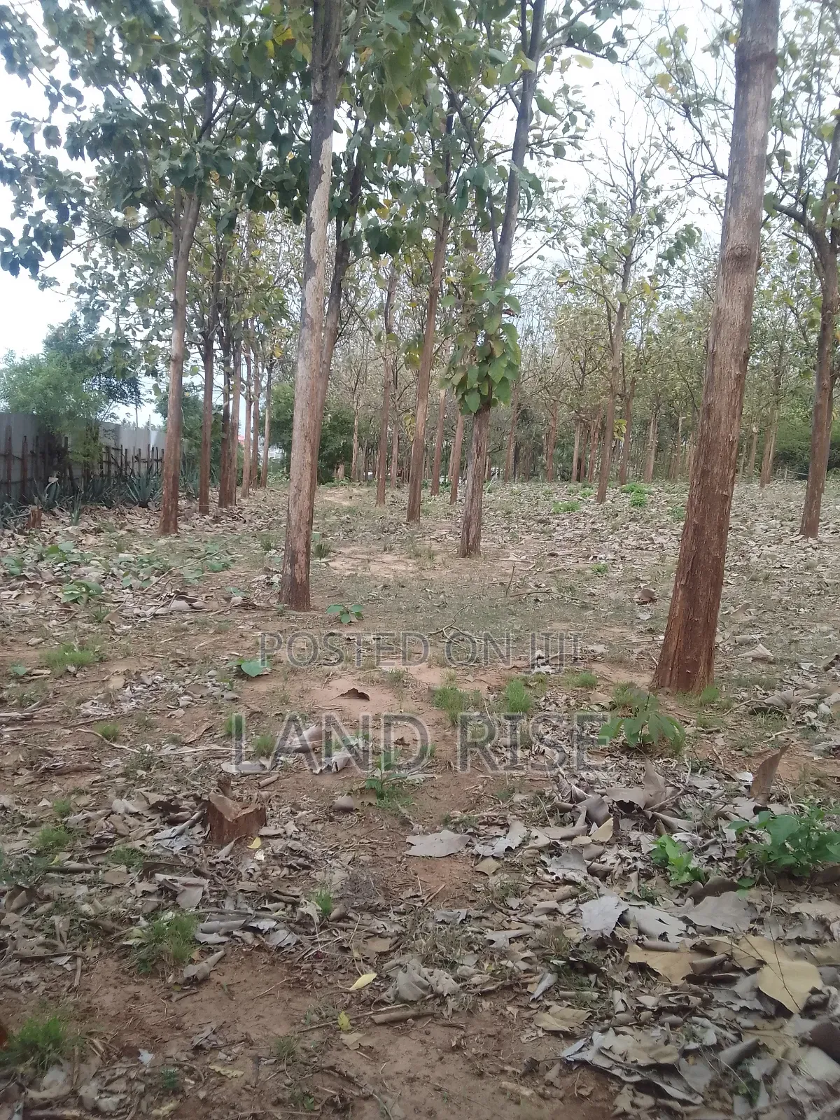 5 Acres for Sale Bagamoyo Road Mbezi Beach