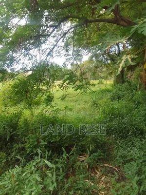 3 Acres of Land for Sale in Mbezi Beach Rainbow