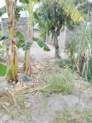 Kiwanja Kinauzwa Milioni 2.5 Majohe Viwege.