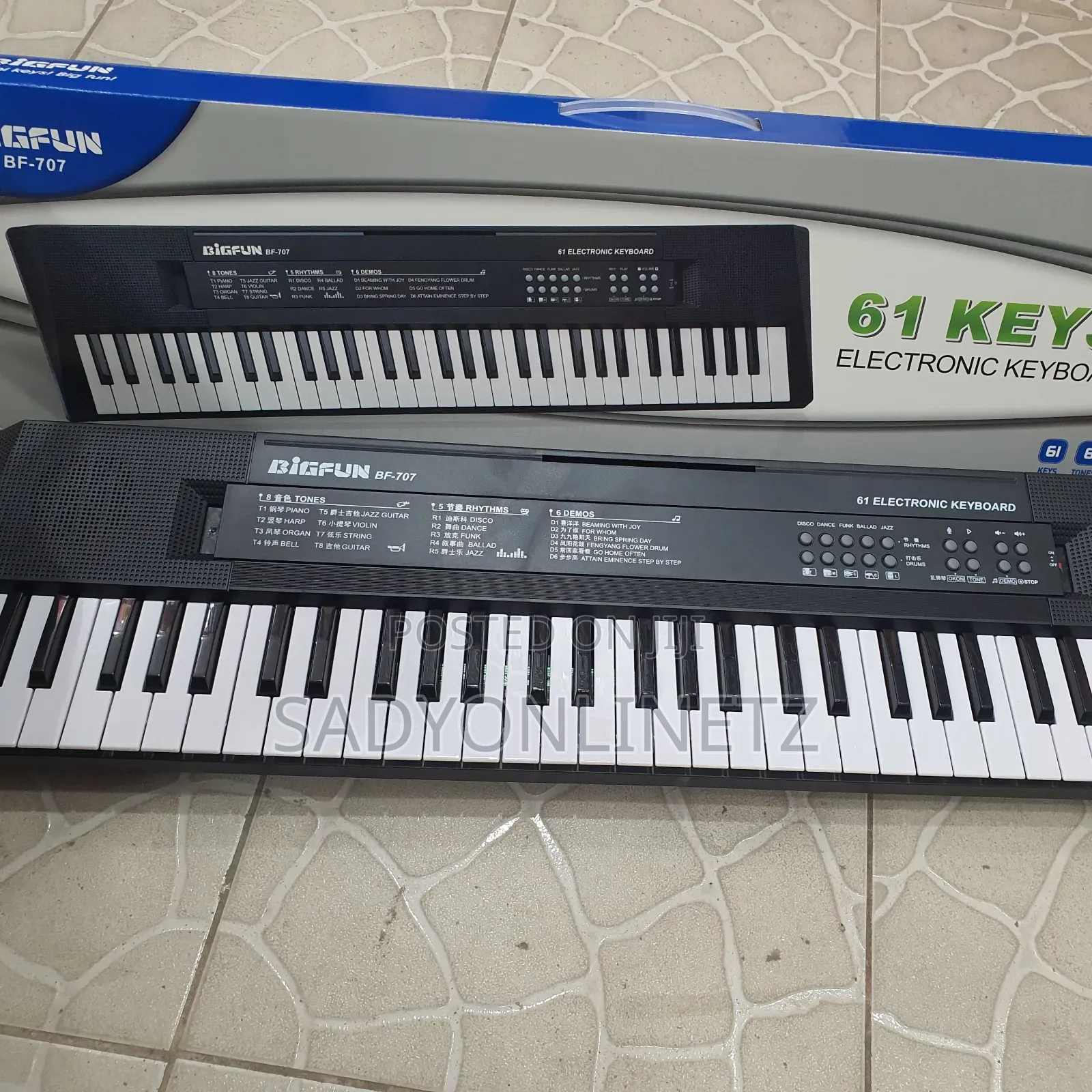 Baby Electronic Keyboard Key 61 (Bf-707)