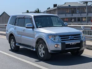 Mitsubishi Pajero 2010 Gray