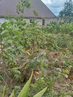 Plot for Sale at Kigamboni Funcity