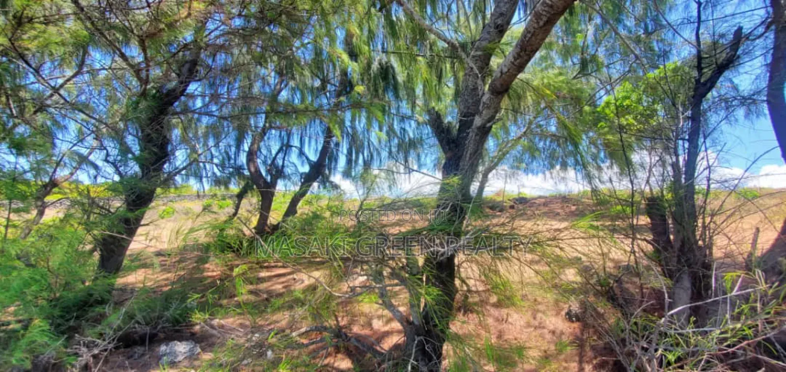Beach Plot for Sale at Zanzibar